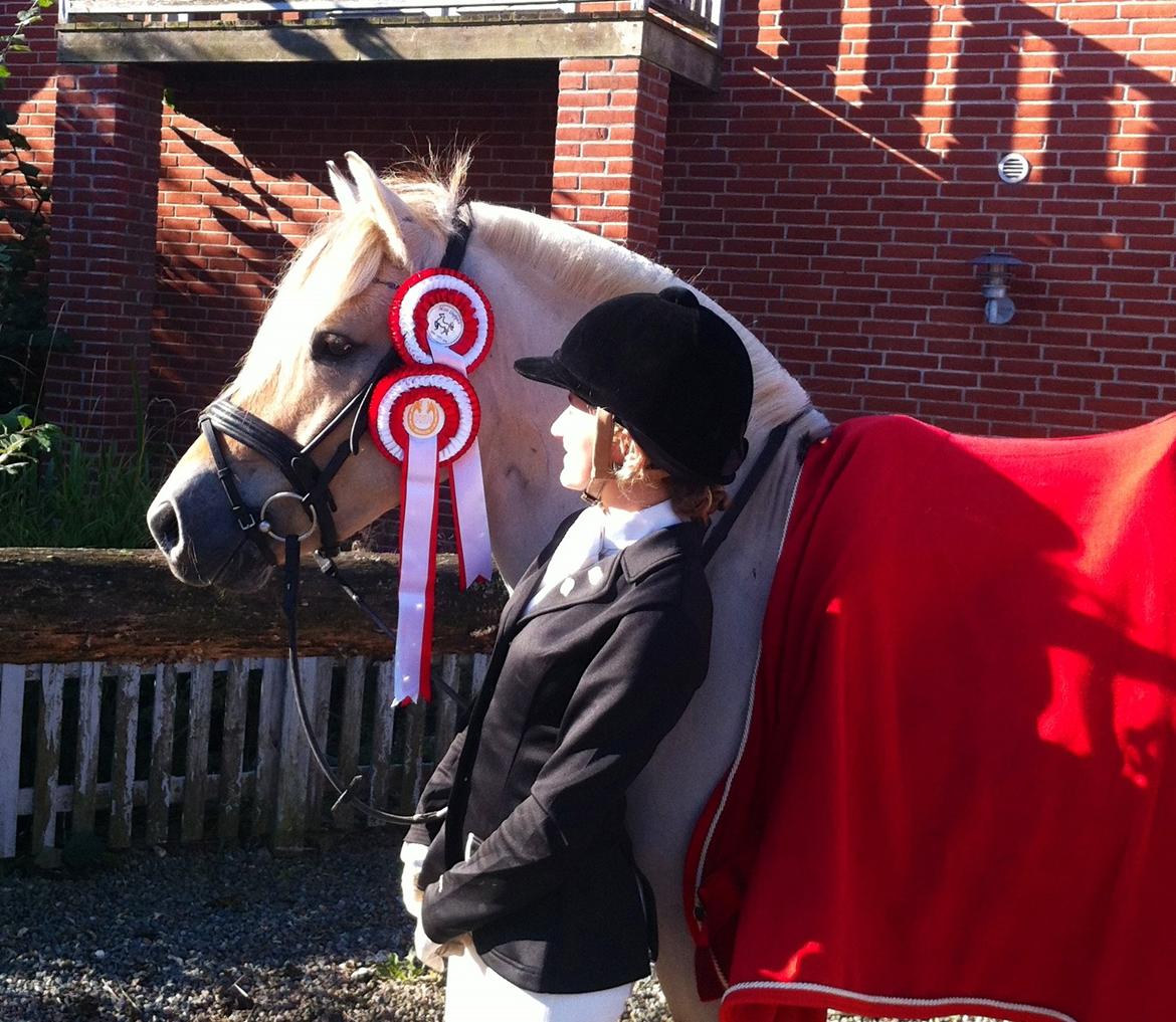 Fjordhest Atlet Bjergby - Kellerup Rideklub - Oktober 2013 billede 12