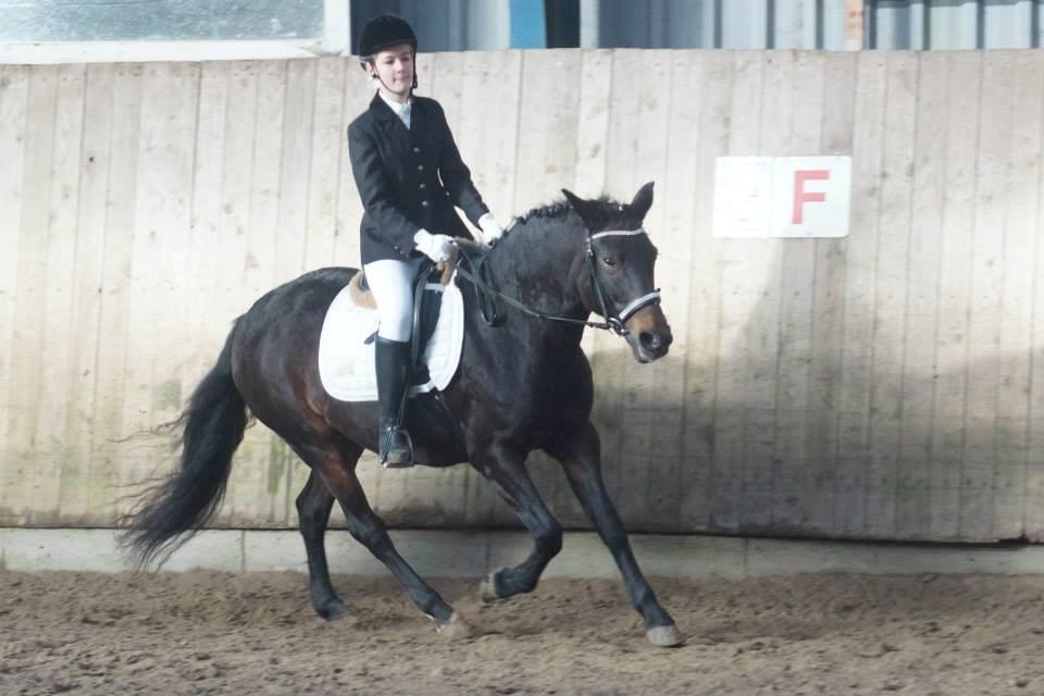 New Forest Stenhøjgaards Amanda <3 - Mig g Amanda der rider til en 1 plads (Y) billede 1
