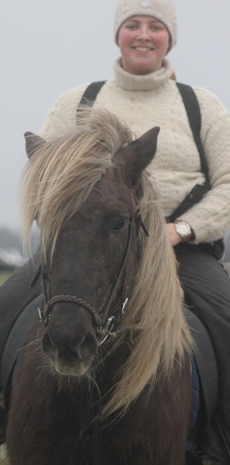 Islænder Jessi (Isle) billede 3