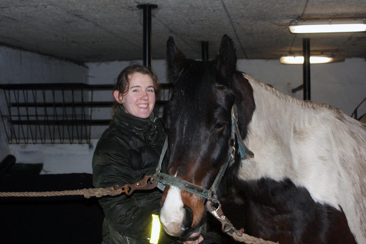 Anden særlig race Thor billede 13