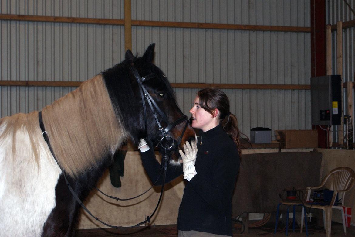 Anden særlig race Thor billede 17