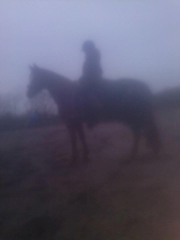 Anden særlig race Lions - Lør. d. 18/1-14<3 Rider på dressur banen uden for! :P Billed taget a Jennifer!<3 billede 14