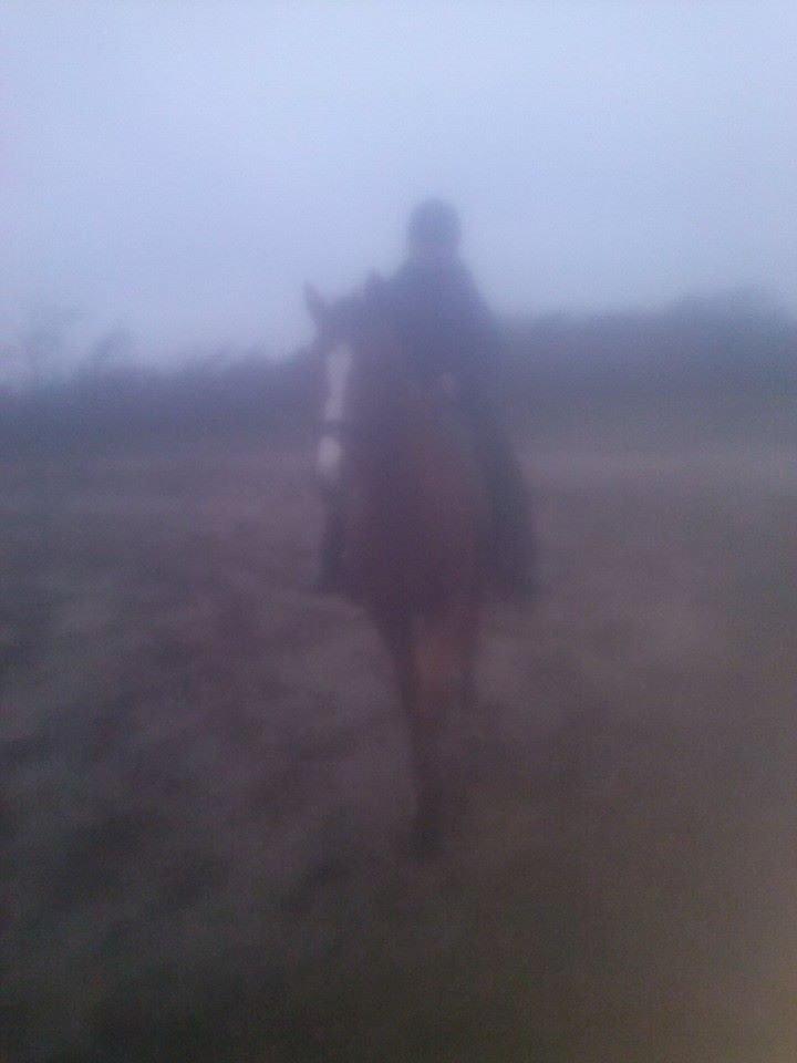 Anden særlig race Lions - Lør. d. 18/1-14<3 Rider på dressur banen uden for! :P Billed taget a Jennifer!<3 billede 15