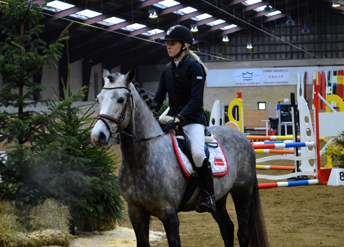 Anden særlig race LANCELOT *B-PONY* - Velkommen til Lancelot's profil! :-D billede 2