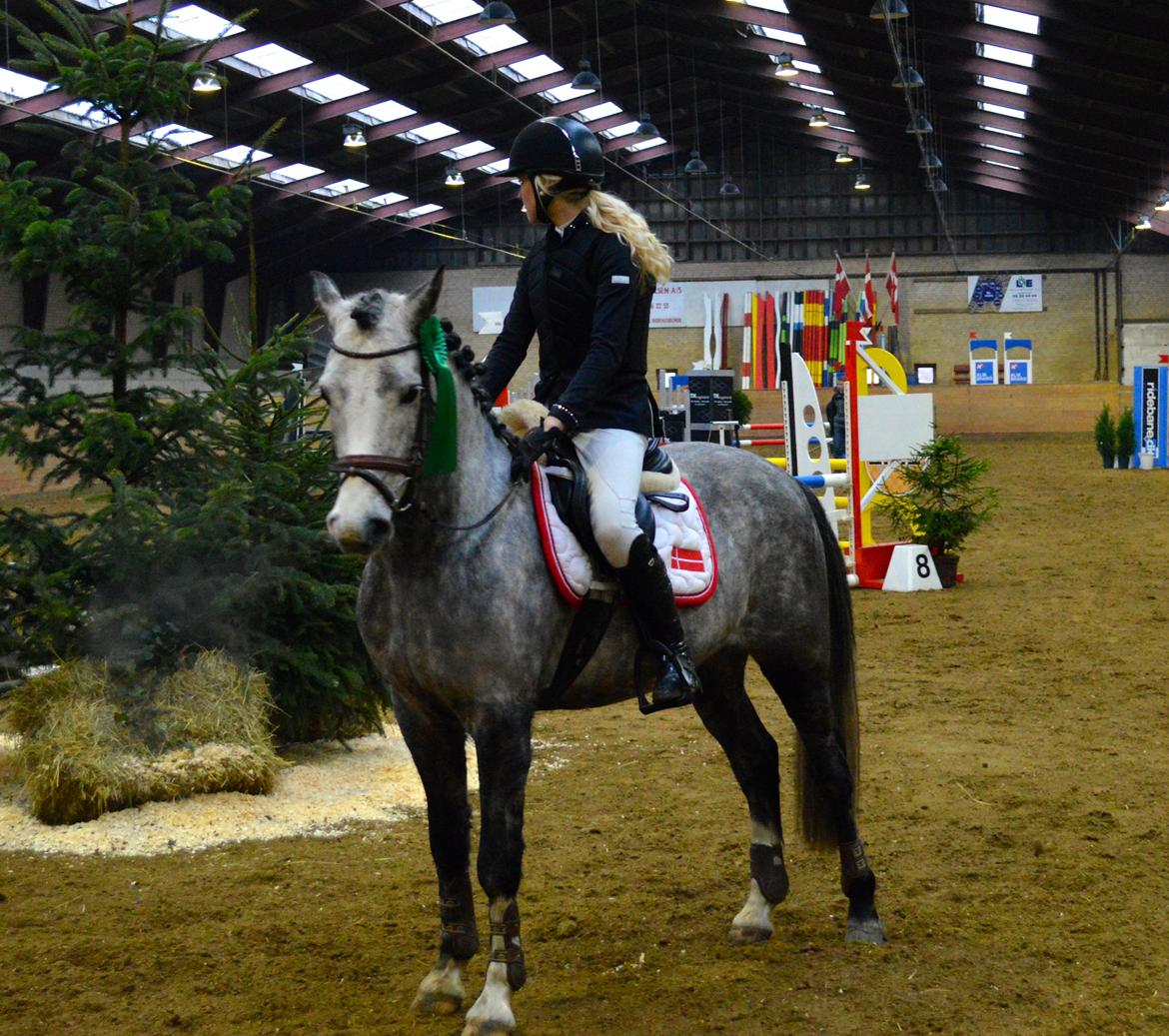 Anden særlig race LANCELOT *B-PONY* billede 22