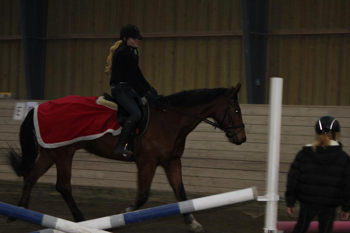 Holstener Lucie in the sky [min part] - Mig og Lucie varmer op til springtræning billede 16