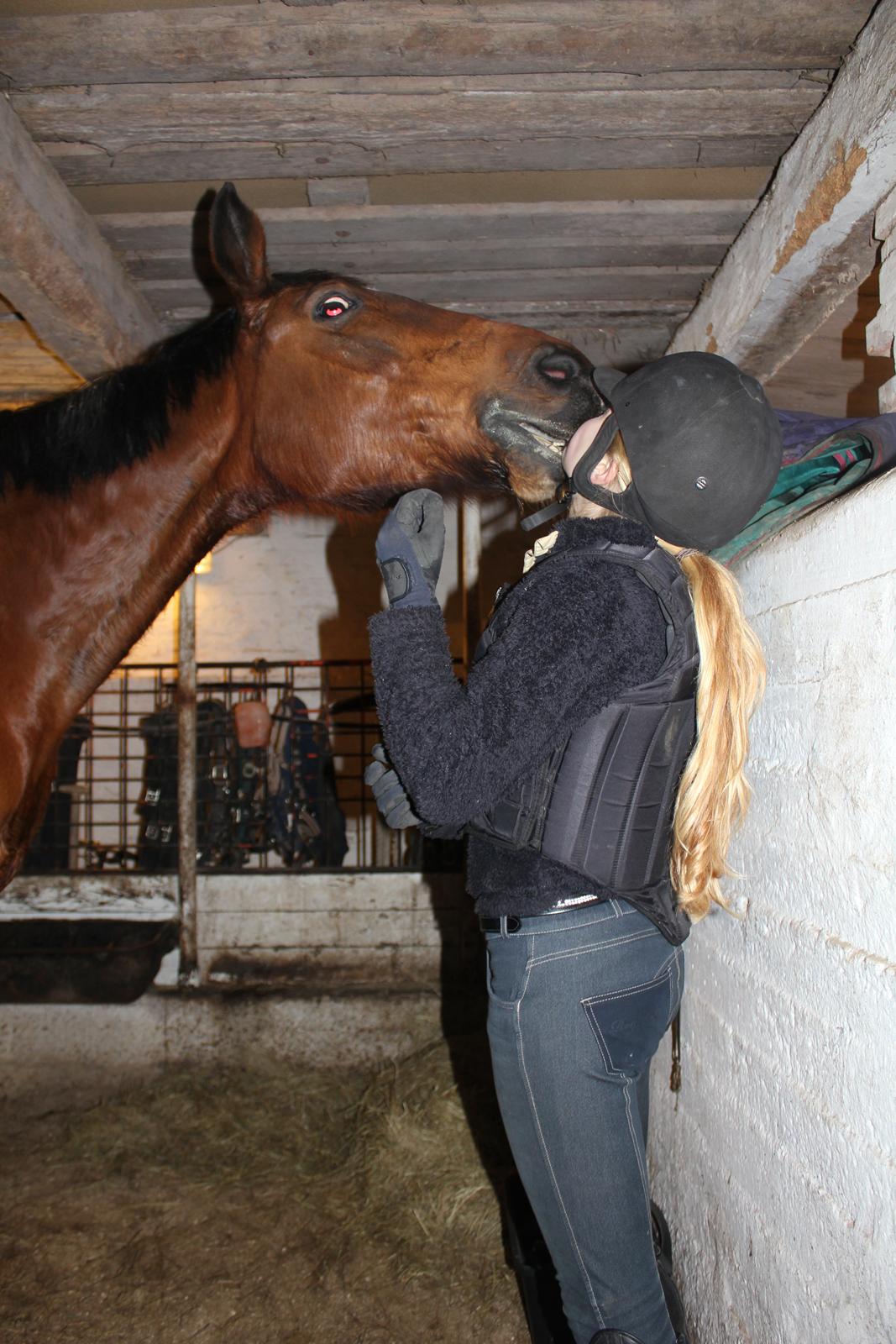 Holstener Lucie in the sky [min part] - Lucie kan kysse <3 billede 13