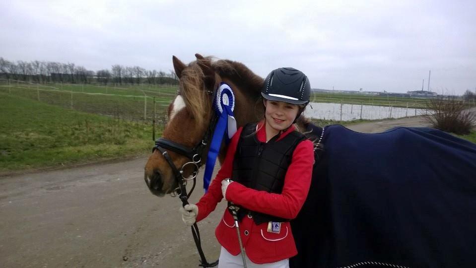 Welsh Partbred (Sec F) Frk. Flippa <3 B-PONY - 2. plads i MB* og MB** og en status som b-rytter til Signe! :) Januar 2014, Boller Rideklub billede 8