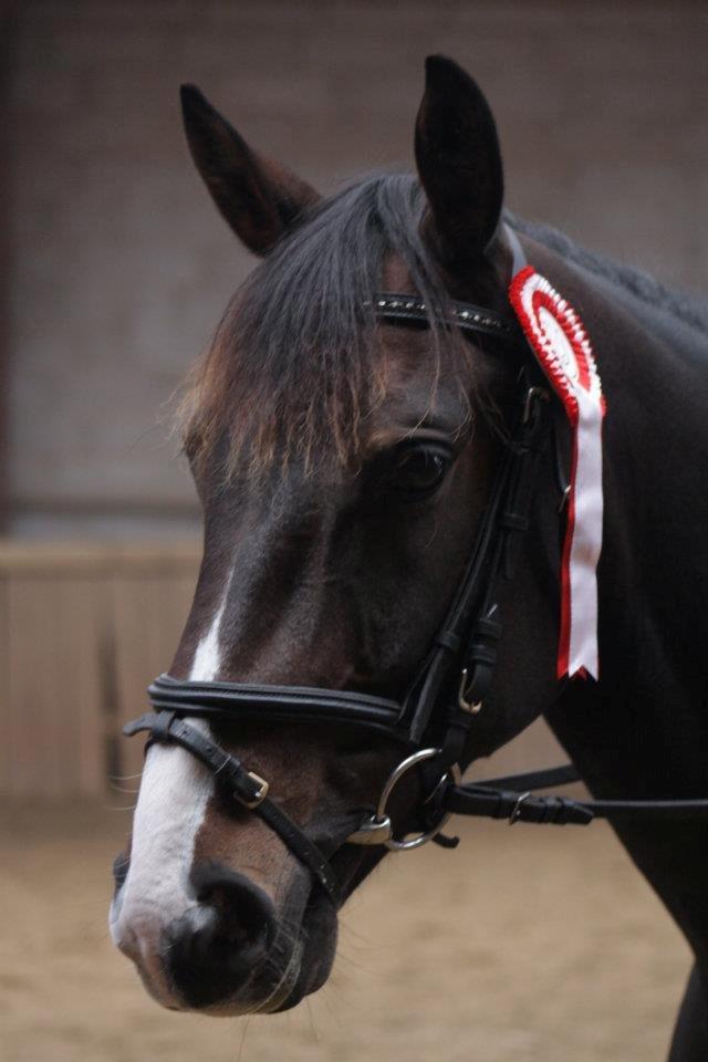 DSP Castellana Kærlund - min smukkeste. savner dig, min engel.  billede 20