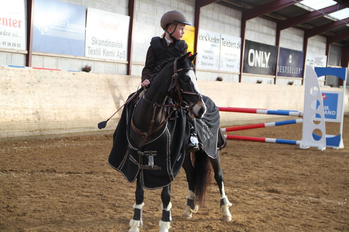 Welsh Pony (sec B) Bakkegaarden´s Chapain - mig og chapain, bliver regions mester- elsker dig:) billede 15