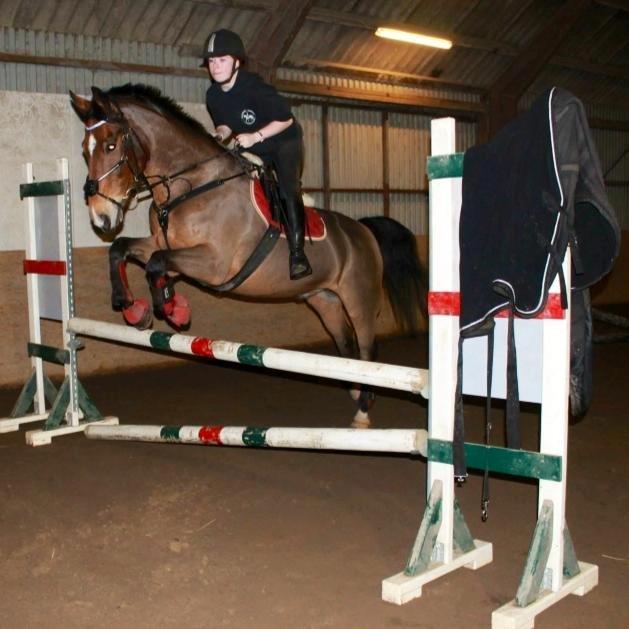 Anden særlig race Arcibald - Arcibald og jeg over 90 cm! <3 
Juleaften 24/12-13 billede 18