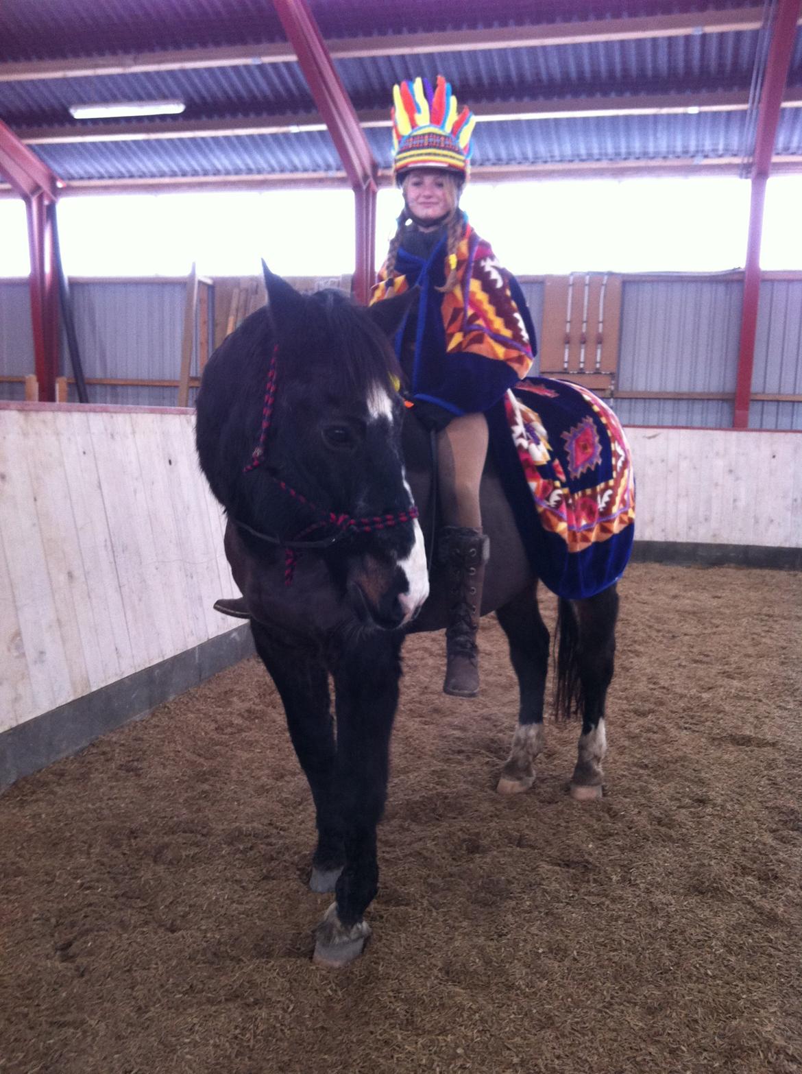 Oldenborg Latus Hjortelund billede 2