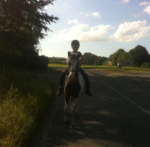 Anden særlig race Dyrekærgårds Indian Bahari - Bahari på tur langs vejen i sommers. billede 2