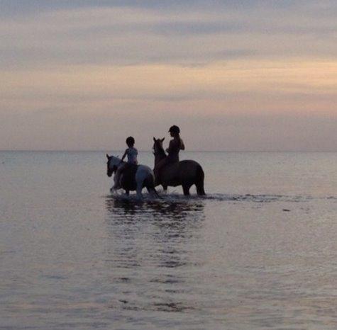 Anden særlig race Dyrekærgårds Indian Bahari - Bahari bader i Tisvilde. Sammen med min søster og hendes gamle pony. billede 3