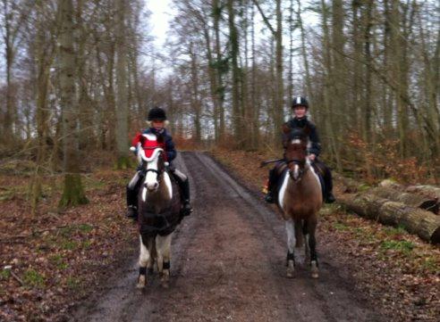 Anden særlig race Dyrekærgårds Indian Bahari - To pletponyer på juletur. Harry og jeg og Alexander og Texi. Bahari med nissehuen :-) billede 5