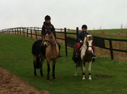 Anden særlig race Dyrekærgårds Indian Bahari - På tur med min søster og hendes gamles pony :-) billede 8