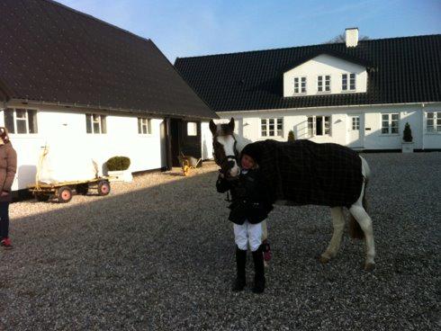 Anden særlig race Dyrekærgårds Indian Bahari - Harry og jeg før vores første stævne :-) billede 10