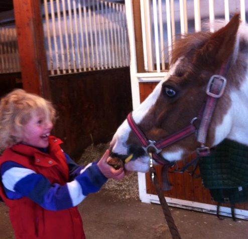 Anden særlig race Dyrekærgårds Indian Bahari - Bahari fejrer sin 22 års fødselsdag traditionen tro med hestevenlig lagkage. billede 11