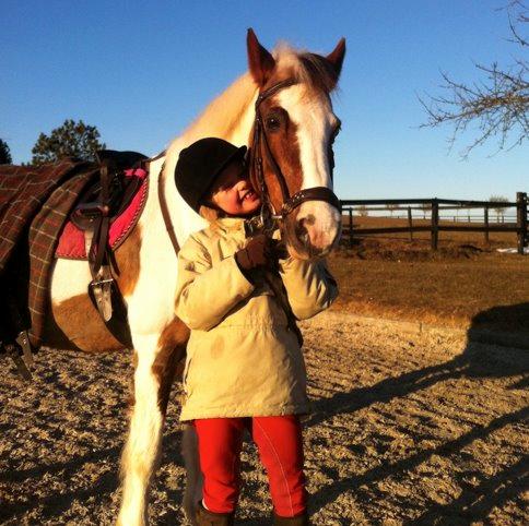 Anden særlig race Dyrekærgårds Indian Bahari - Harry på banen efter en aften ridetur! billede 12