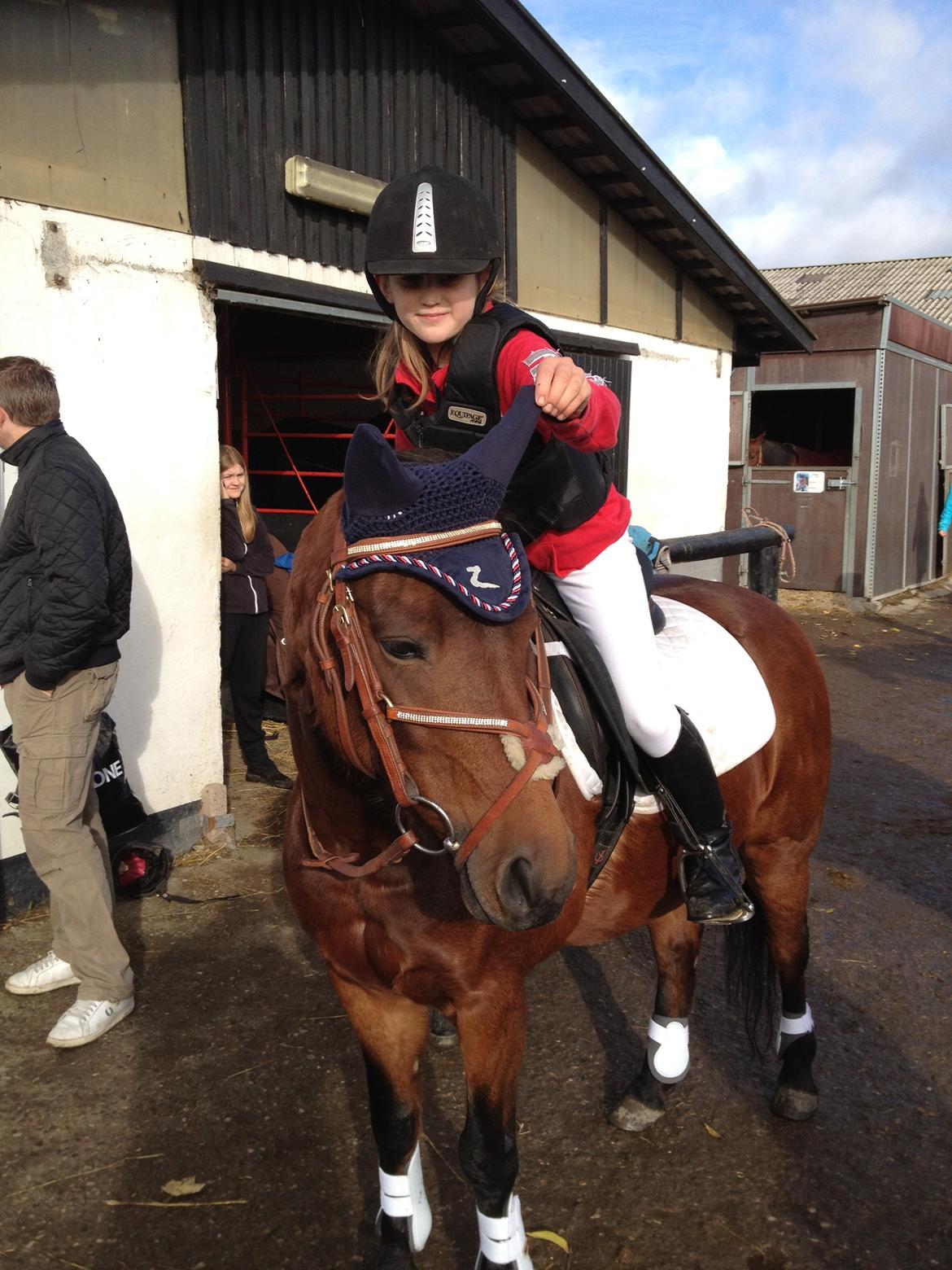 Hollandsk Sportspony lady(vsr) billede 4