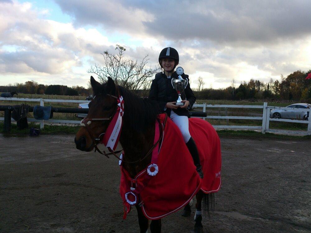 Hollandsk Sportspony lady(vsr) billede 8