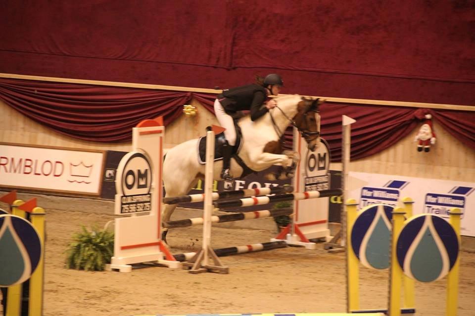 Anden særlig race All Star (Luna) - Danish Christmas Show Warm Up 2013, LB1* <3 billede 20