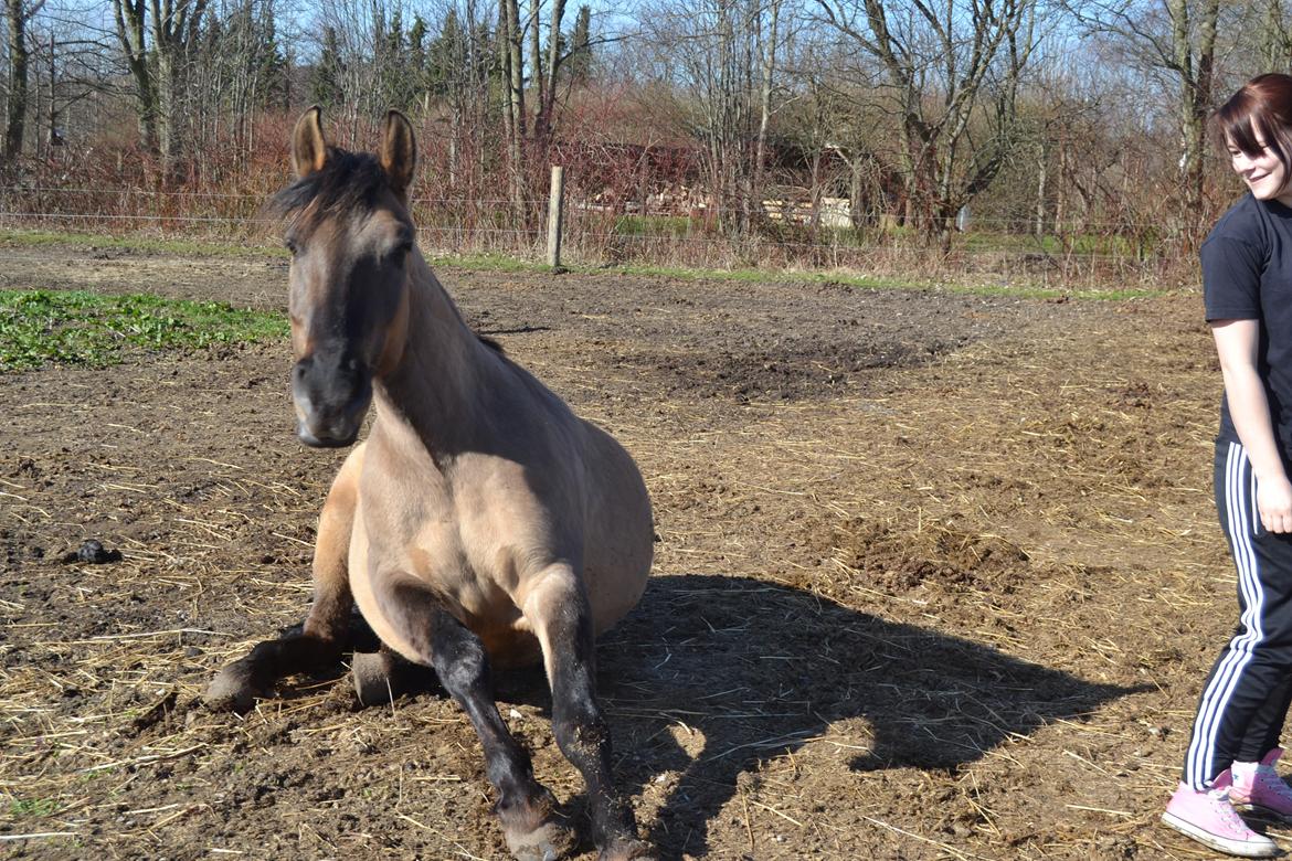 Anden særlig race RONALDO - Ronaldo den dag vi var ude og hente ham. :-)  billede 20