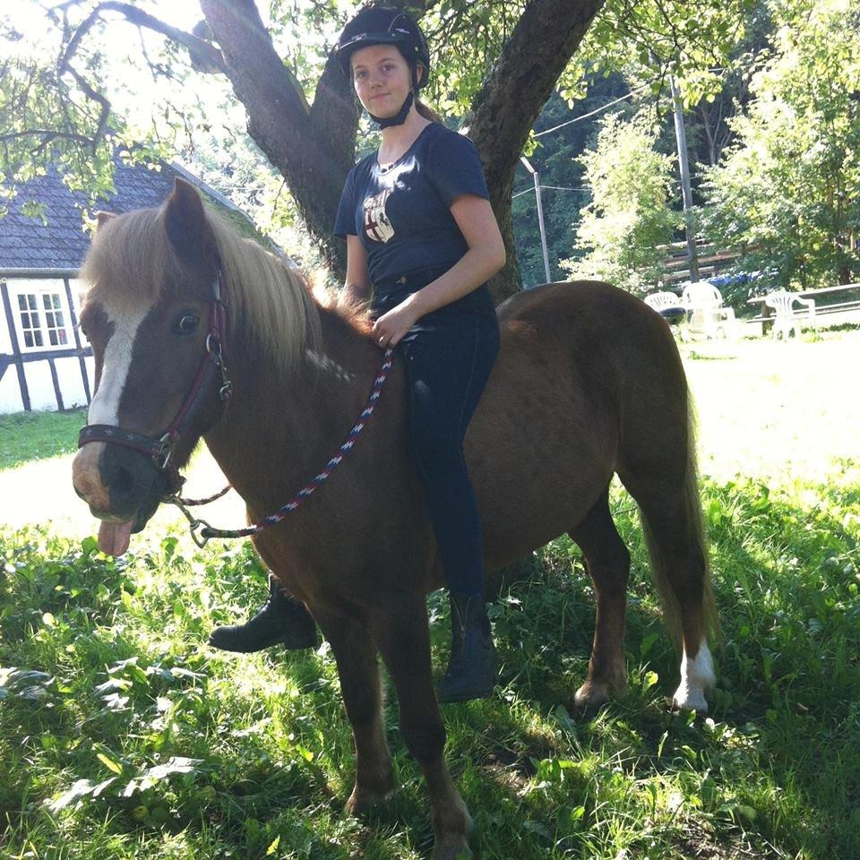 Islænder Hekla kranpi - Hekla og jeg under et æbletræ<3<3 billede 1