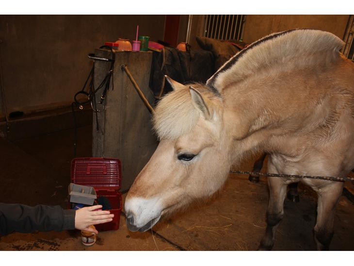 {{currentPhoto.altText}} billede {{currentPhoto.number}}