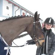 New Forest Gay Count Tarok