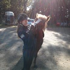 Islænder Hekla kranpi