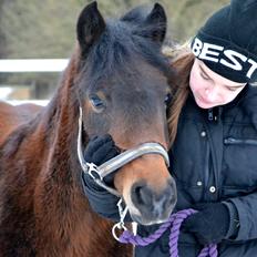 Dartmoor <3 Hammeldrups Desirée <3<3<3