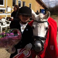 Anden særlig race Frederikke