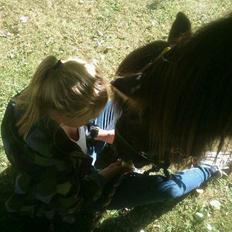 Islænder Gáski Fra Smørum