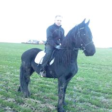 Frieser Nelli ~solgt~