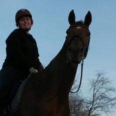 Dansk Varmblod May shahnaz RDH 5601 DV DK (himmel hest)