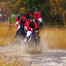 Anden særlig race Kavello