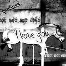 Fjordhest Tobias 'solgt'