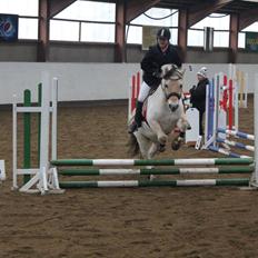 Fjordhest Bubber (Tidl. Part <3)