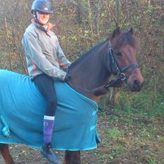 Anden særlig race Thanehøjs Mads