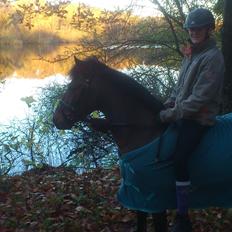 Anden særlig race Thanehøjs Mads