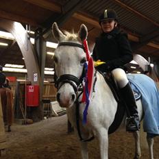 Welsh Pony (sec B) †Marmaja flika R.I.P†