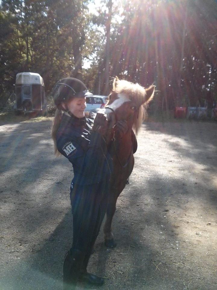 Islænder Hekla kranpi - En dejlig formiddag med en dejlig trunte:) billede 2