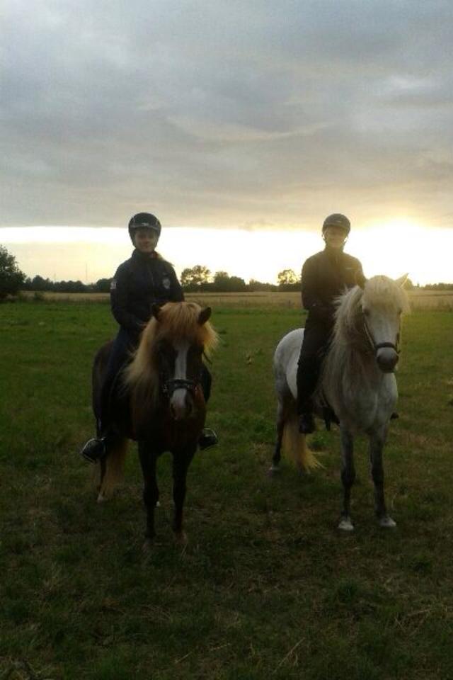 Islænder Hekla kranpi - Min kusine og jeg på Hekla og Luppa:) billede 3