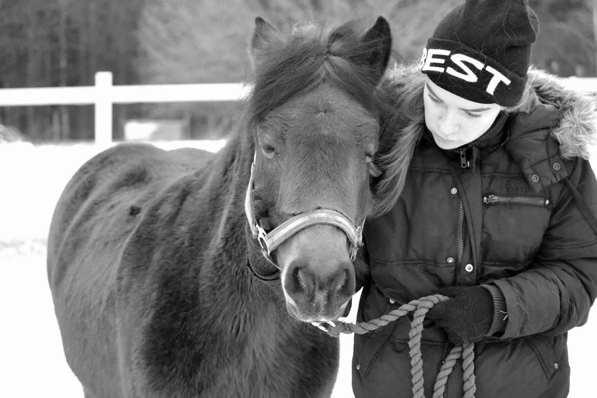 Dartmoor <3 Hammeldrups Desirée <3<3<3 billede 14