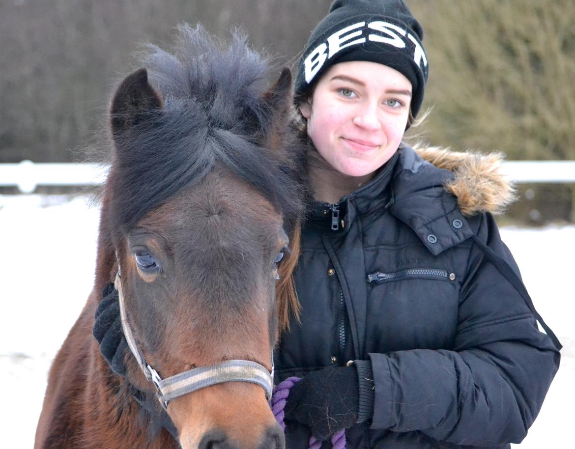 Dartmoor <3 Hammeldrups Desirée <3<3<3 billede 16