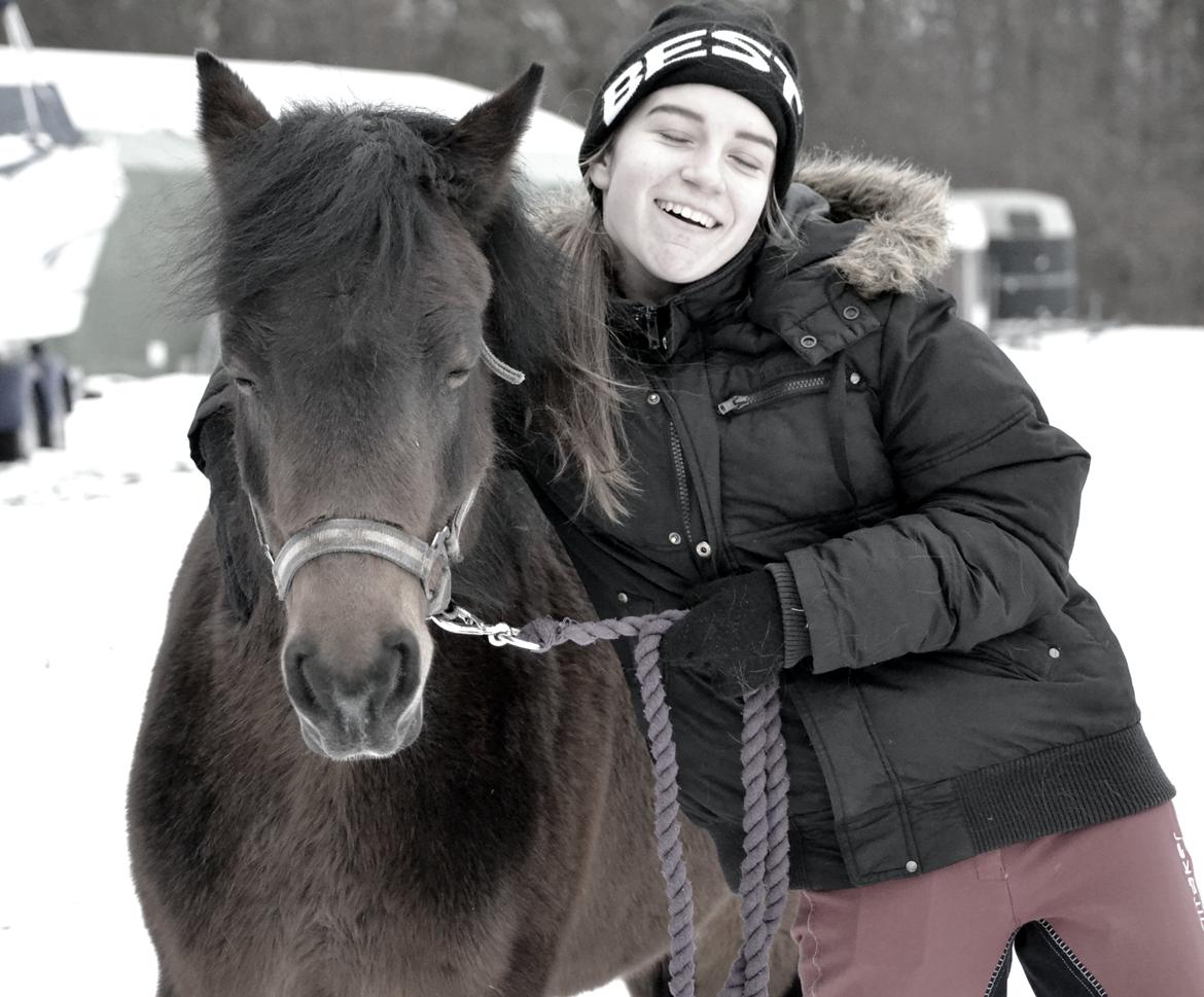 Dartmoor <3 Hammeldrups Desirée <3<3<3 billede 18