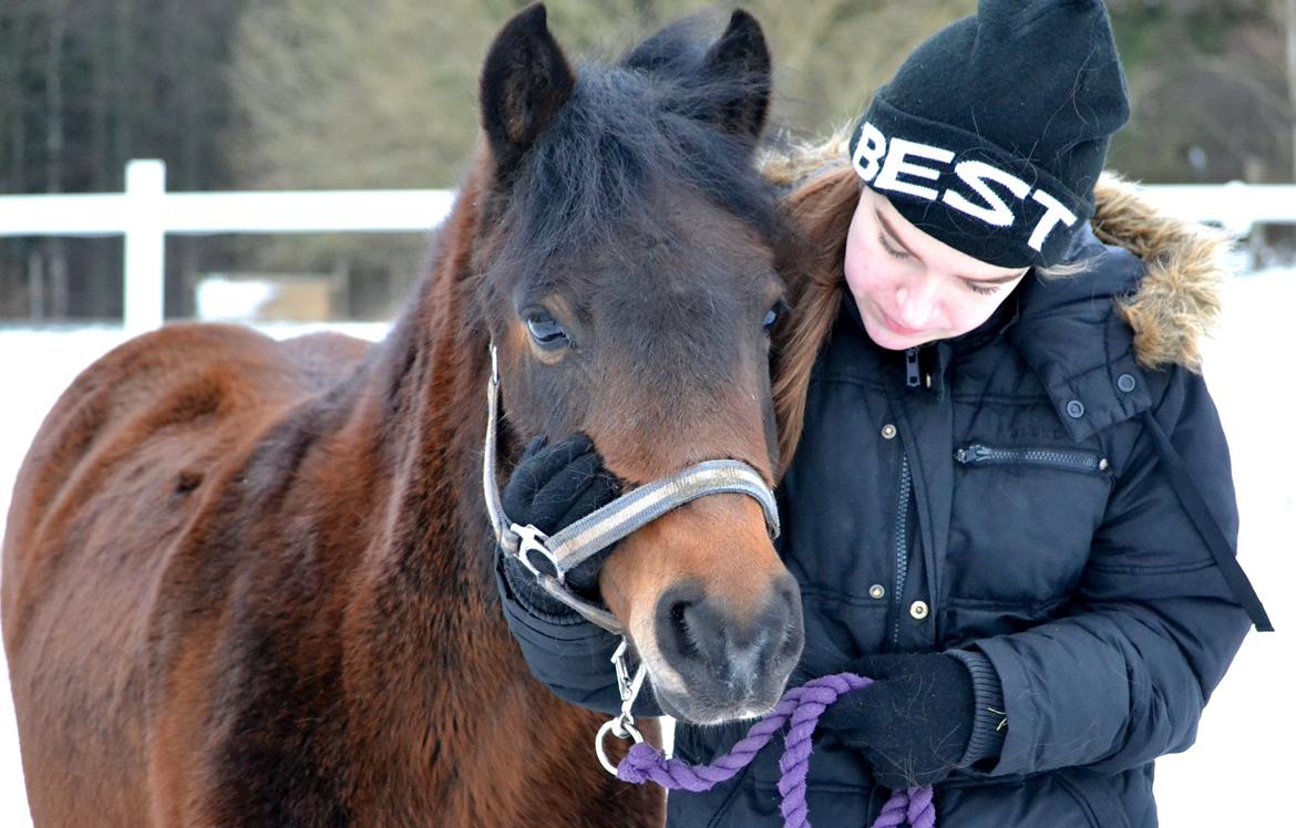 Dartmoor <3 Hammeldrups Desirée <3<3<3 billede 2