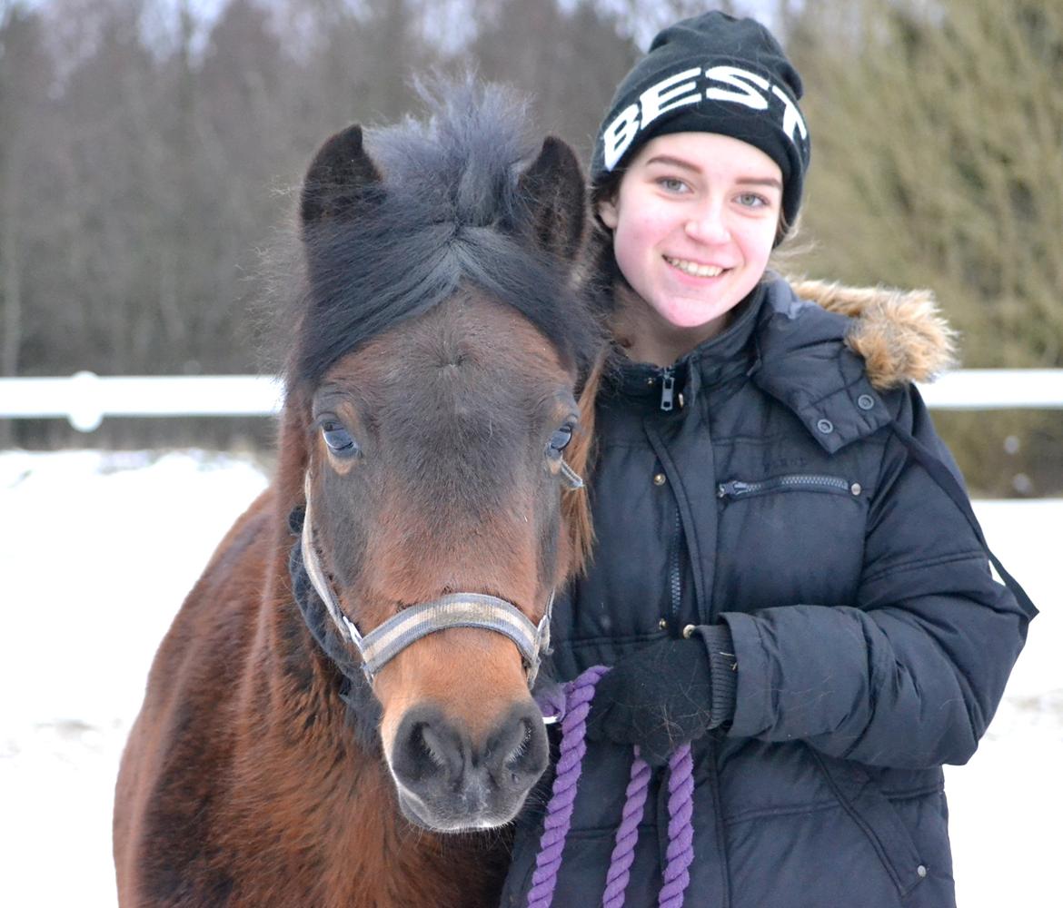 Dartmoor <3 Hammeldrups Desirée <3<3<3 billede 20