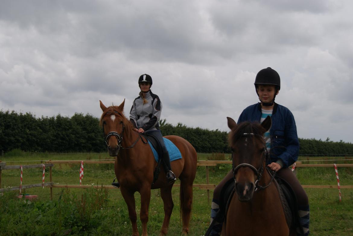 Anden særlig race Theo billede 1